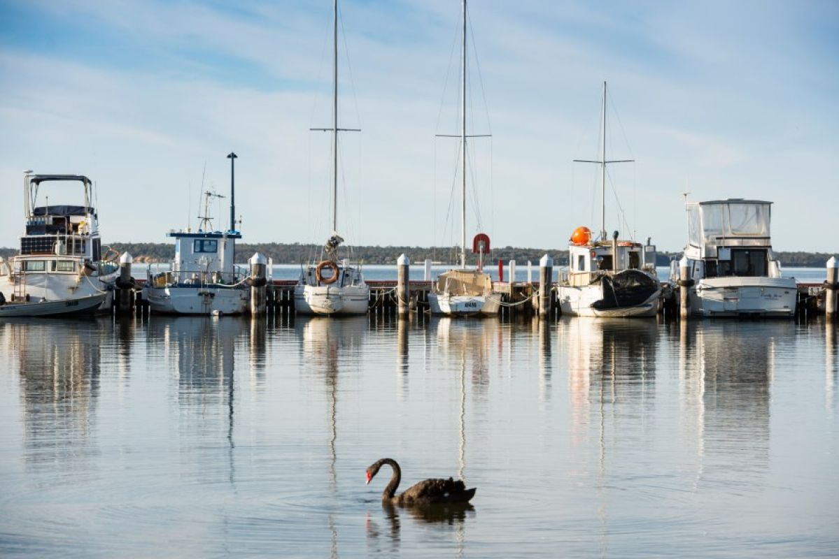 boats moored in lake