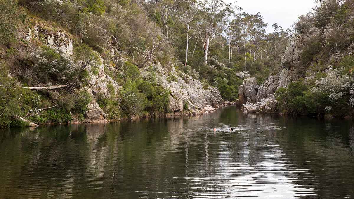 large water hole surrounded by bushland