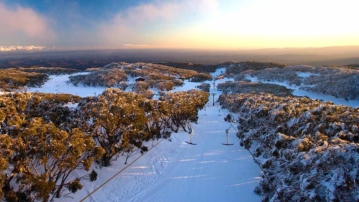 Aerial view of Mt Baw Baw ski run and snow gums