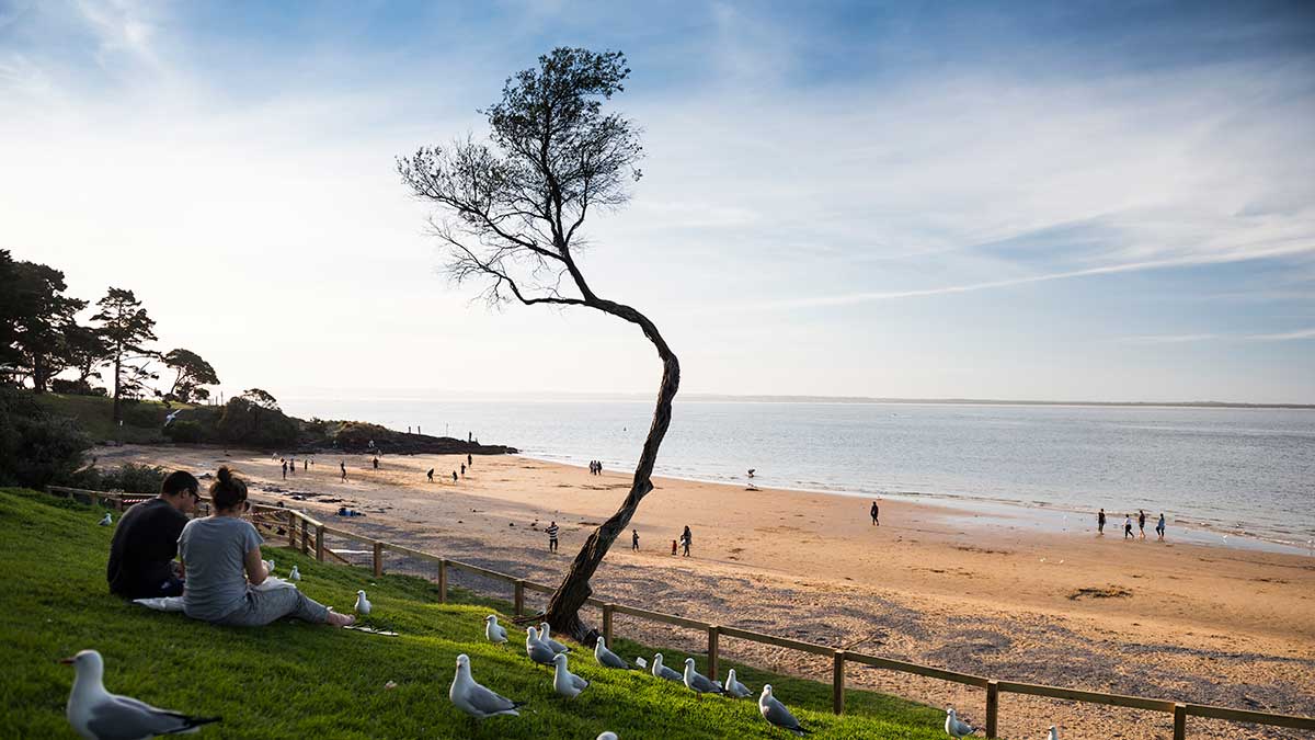 Two people and seagulls on bank overlooking Cowes Beach