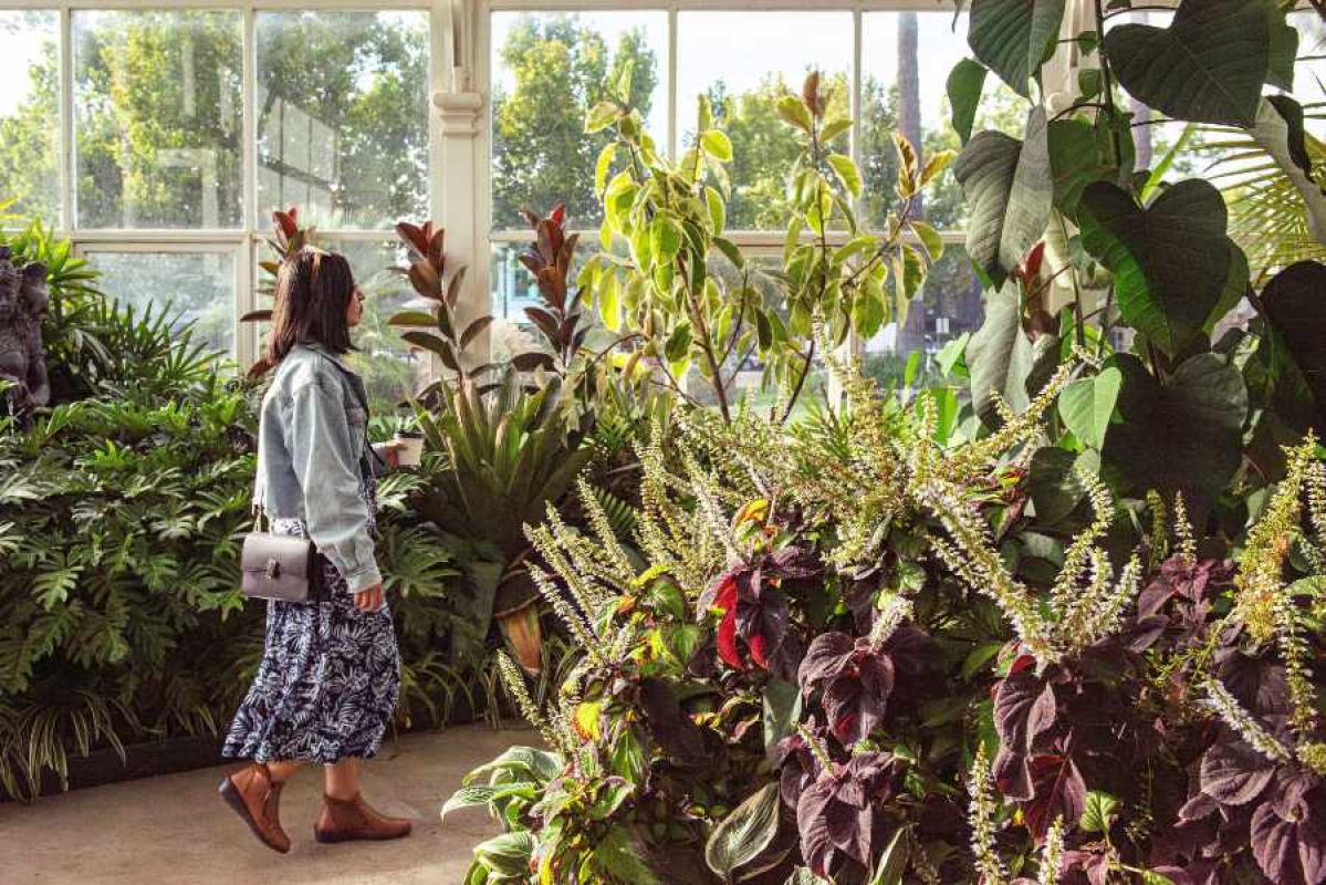 A woman walking through the lush gardens inside the Rosalind Park Conservatory in Bendigo. The space is filled with various leafy plants in various colours and shapes with clear white panelled glass windows in the background.