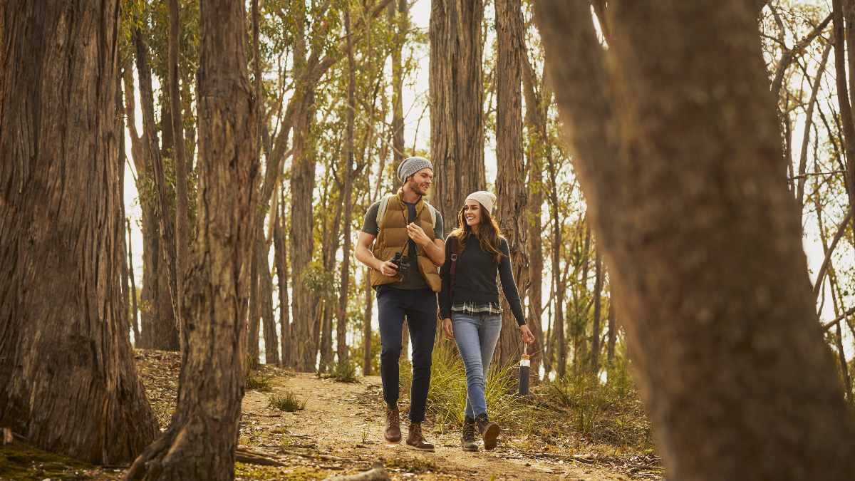 Two people walking in the bush