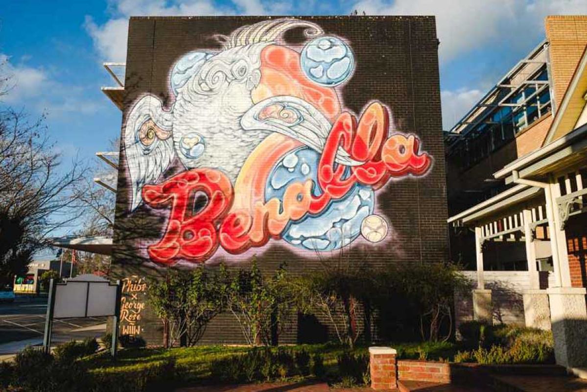 hot air balloon over Yarra Valley