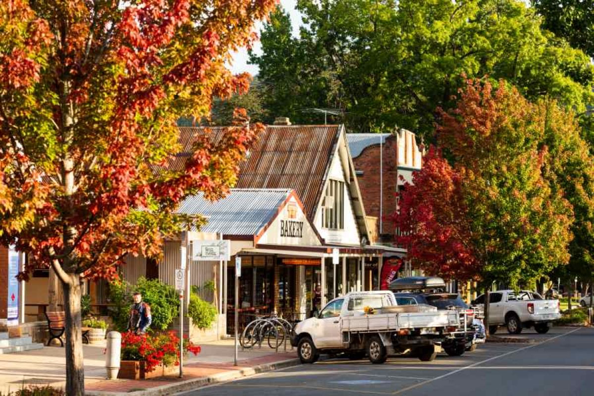 street in Bright with stores, parked cars and autumn trees