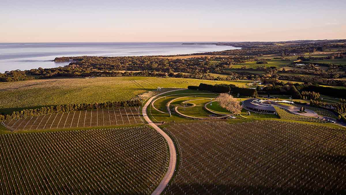 Aerial view of Point Leo Estate coastal vineyards with Western Port in background