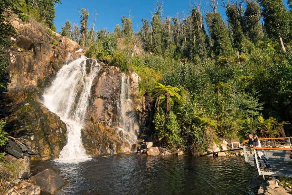 Two people admiring Steavenson Falls from a fenced viewing platform