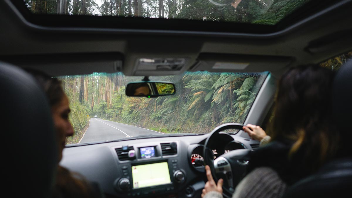 View from back seat of car with two people driving car through Black Spur
