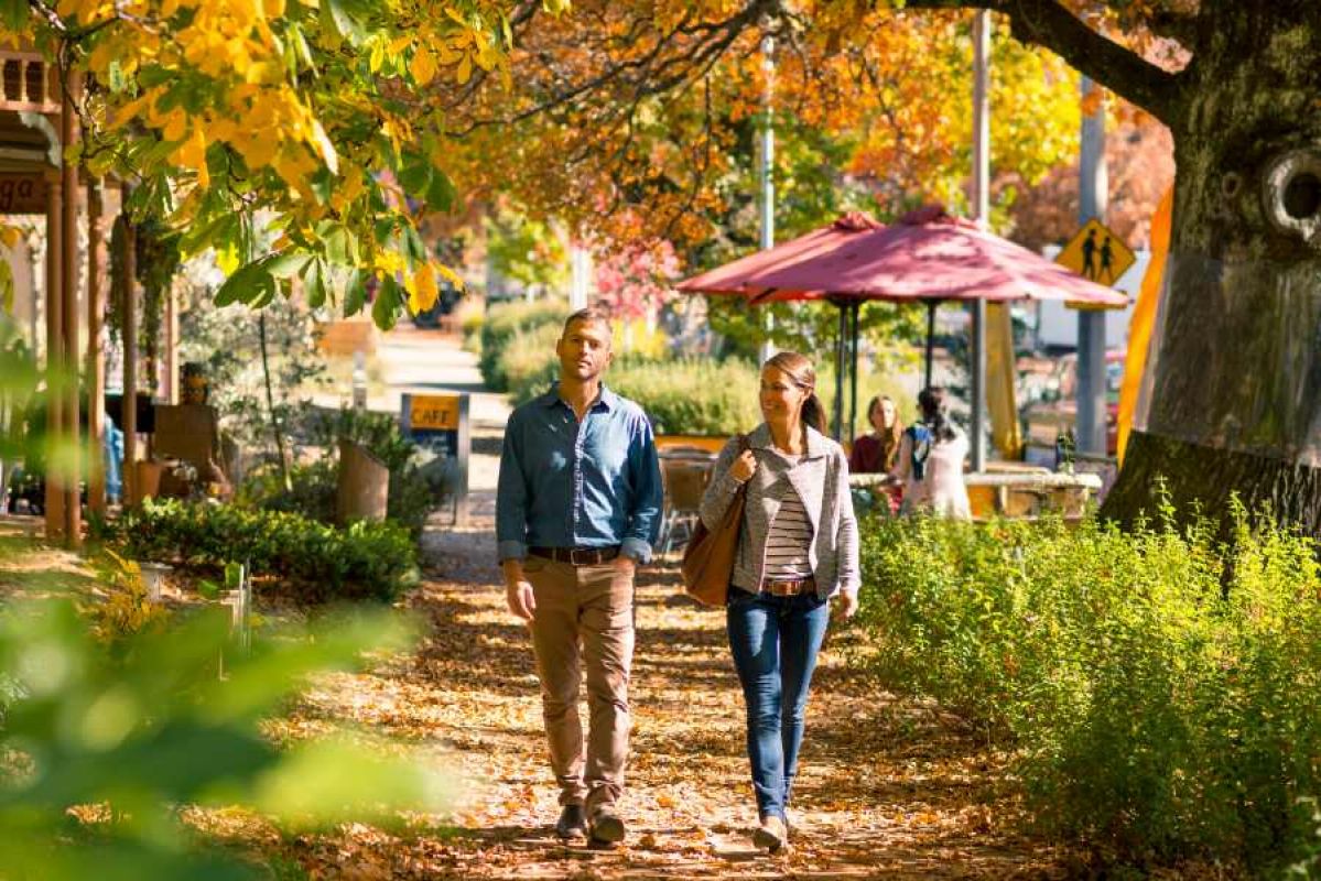 couple walking on autumn tree lined country street