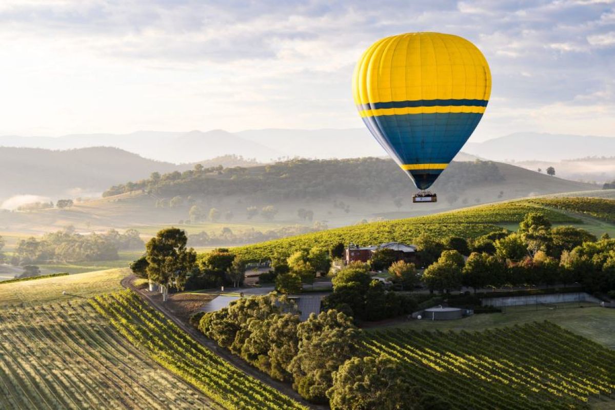 hot air balloon over Yarra Valley