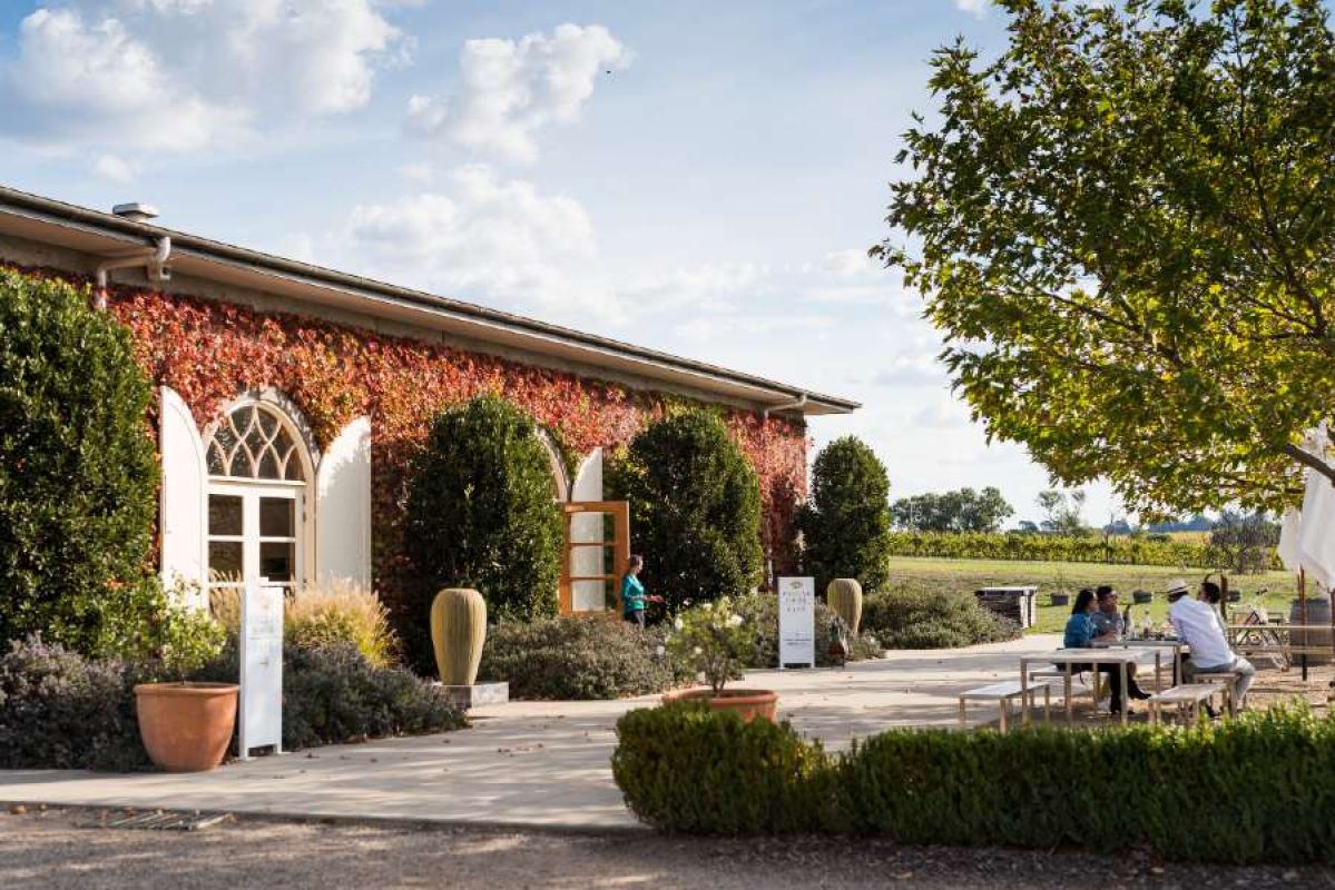 A building covered with red vine leaves at Dominic Portet winery in the Yarra Valley. People sit on a picnic table under a tree nearby
