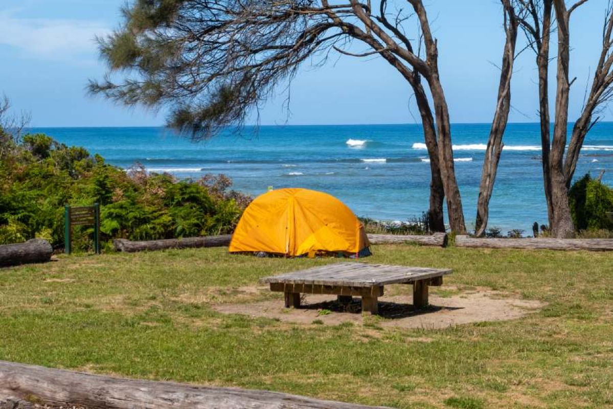 yellow tent on grass in front of ocean