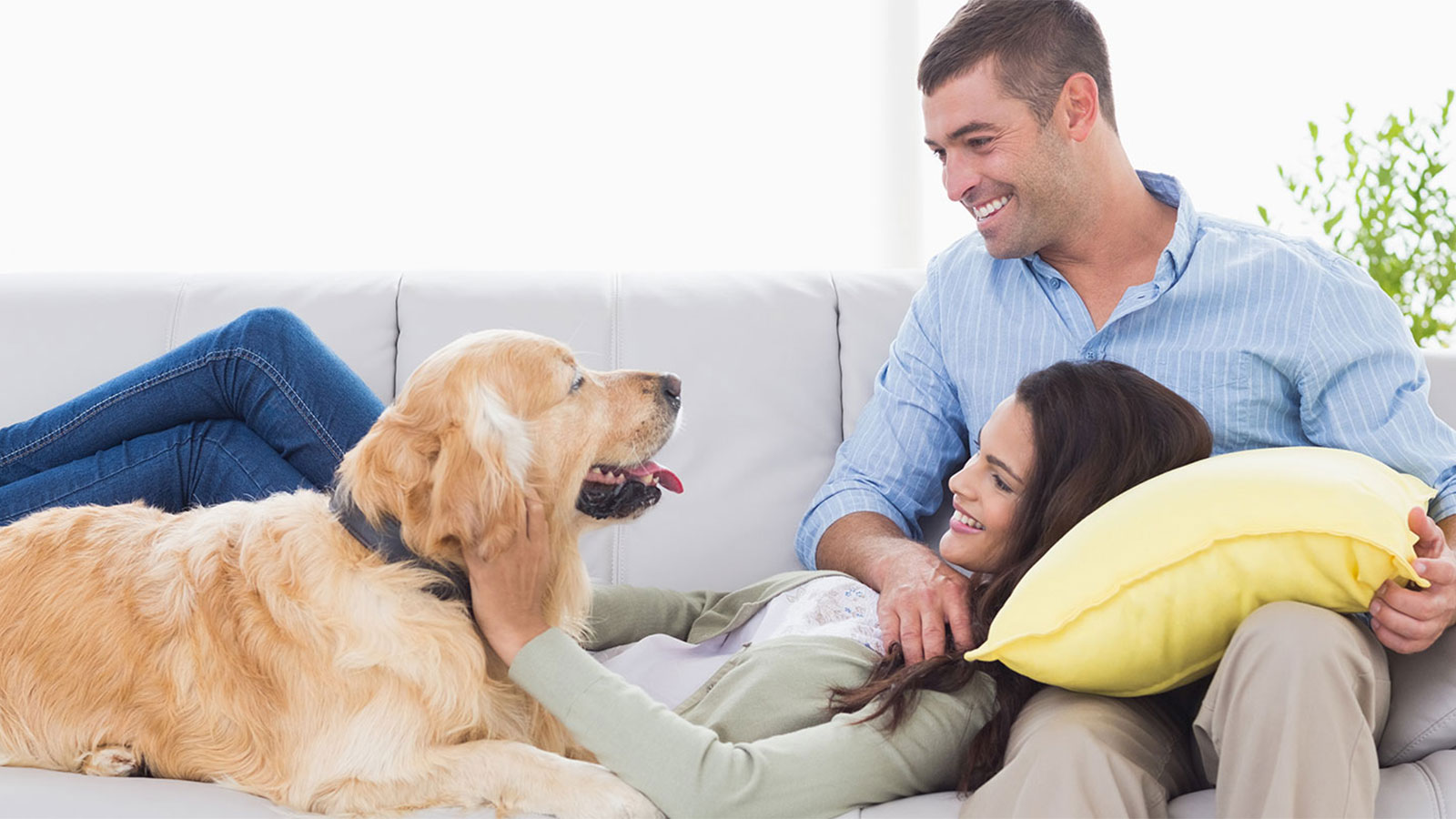 Couple lying together on a leather couch while patting their dog.