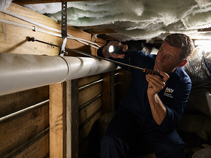 RACV inspector assessing crawl space under house.