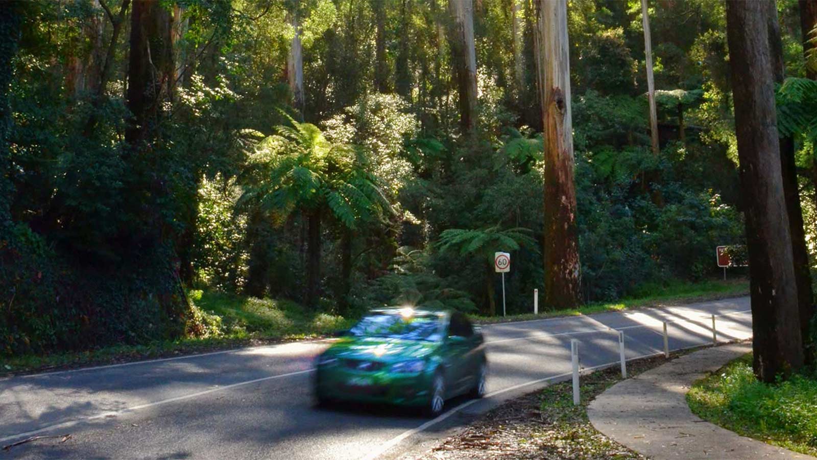 Green car driving on Mt Dandenong road, Victoria.
