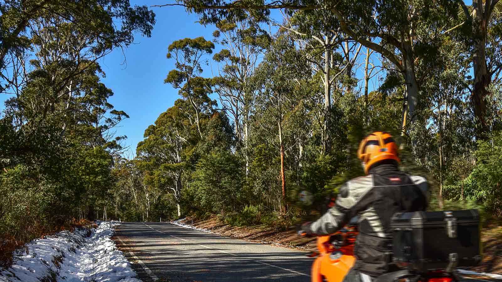 Motorcyclist driving on Omeo Highway, Mount Wills