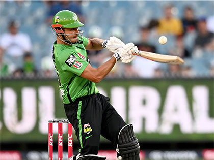 Melbourne Stars cricket player mid-hit