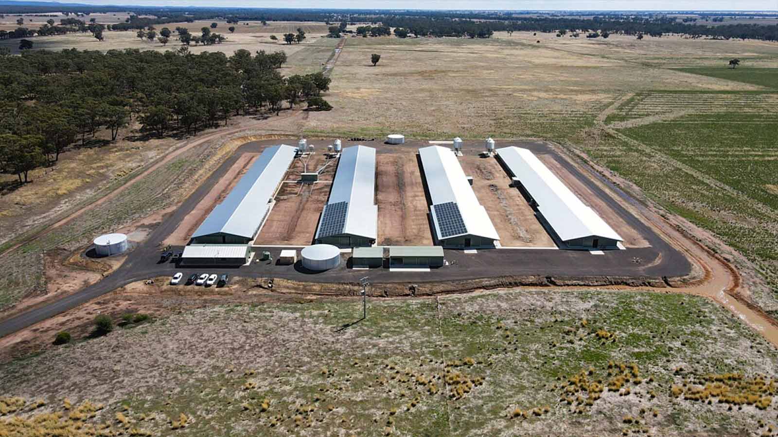 Aerial view of Hazeldene Chicken Farm sheds fitted with solar panelling. 