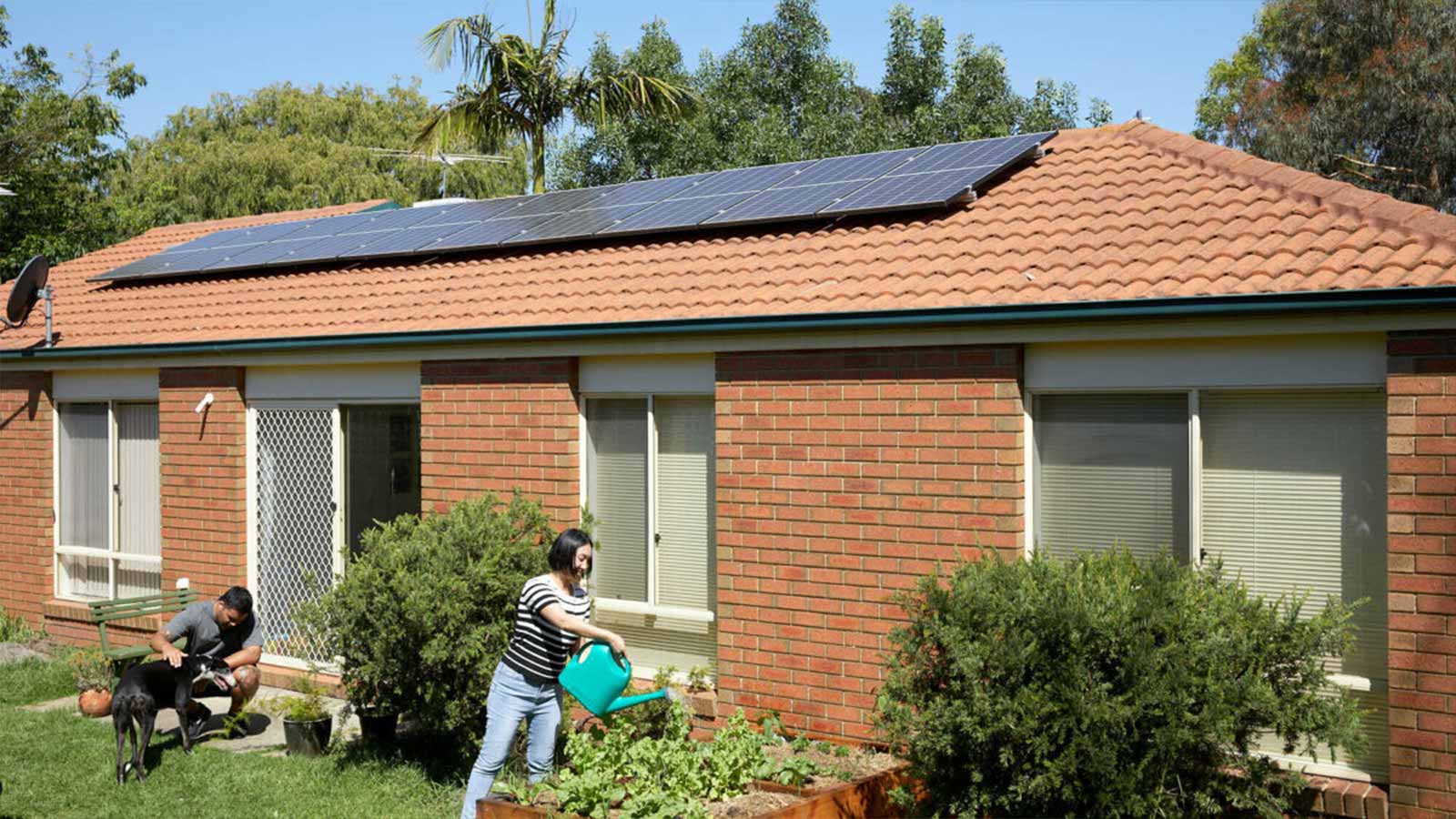 Couple outside of their Heidelberg family home fitted with Solar panels, watering the garden and playing with their dog. 