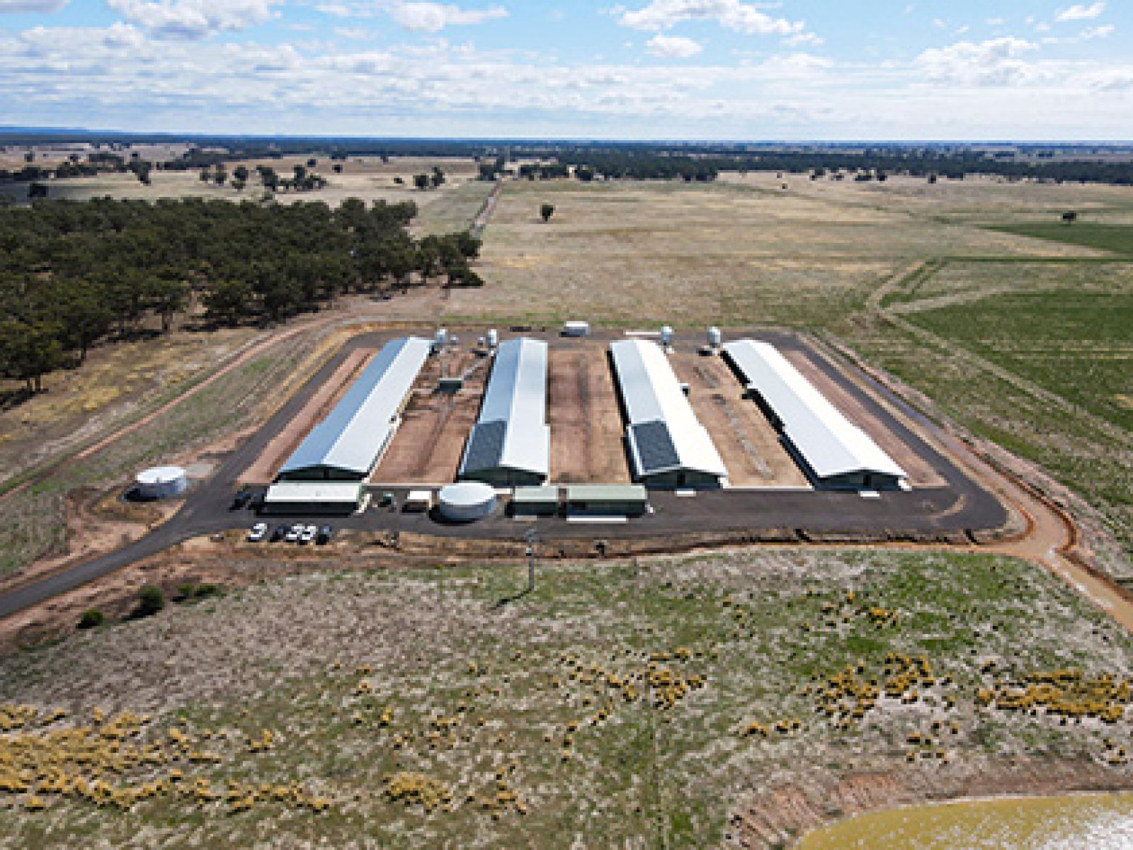 Aerial view of Hazeldenes chicken farm, fitted with solar panels.