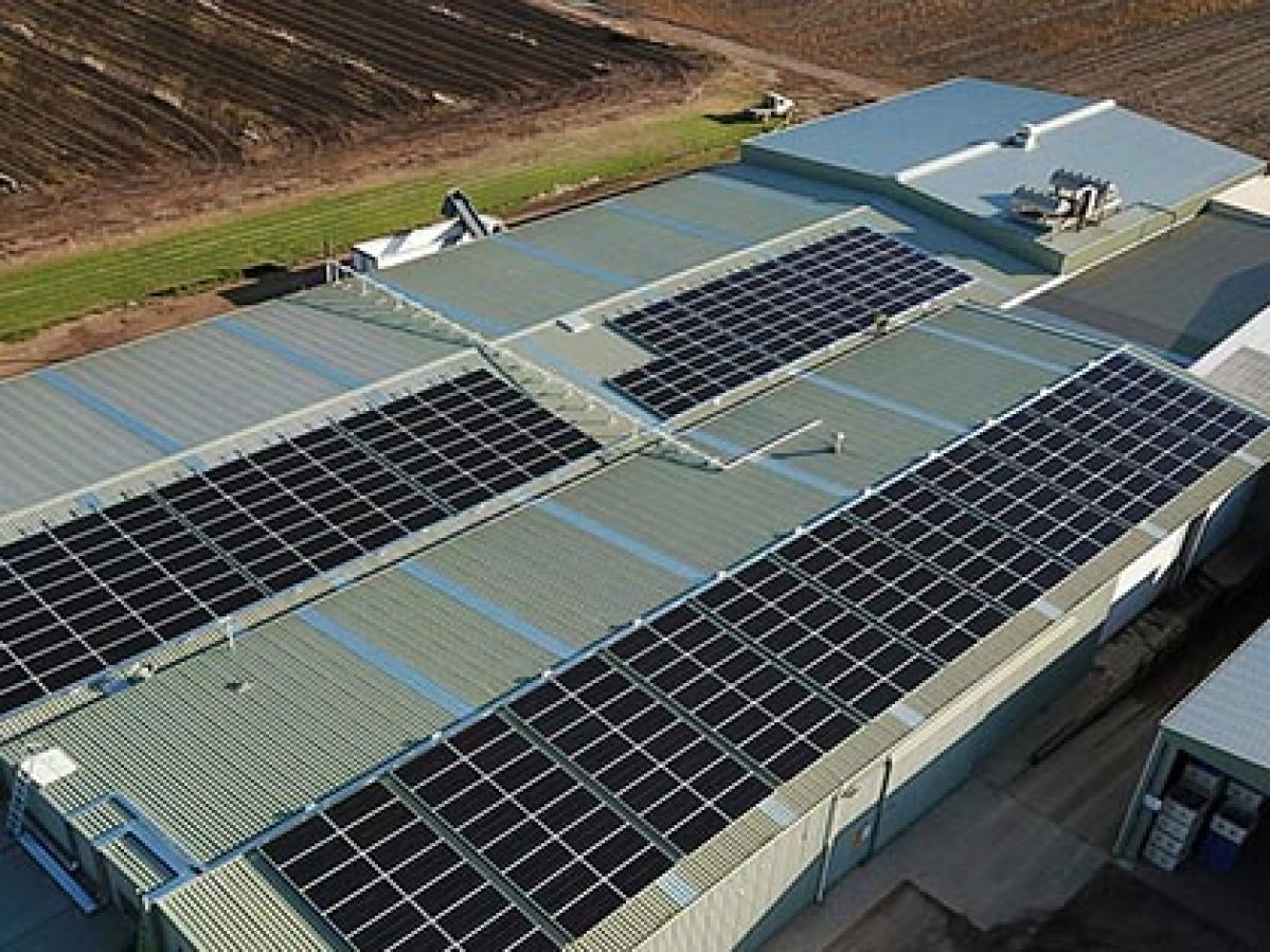 Solar panelling fitted on the roof of Bonaccord primary food producer. 