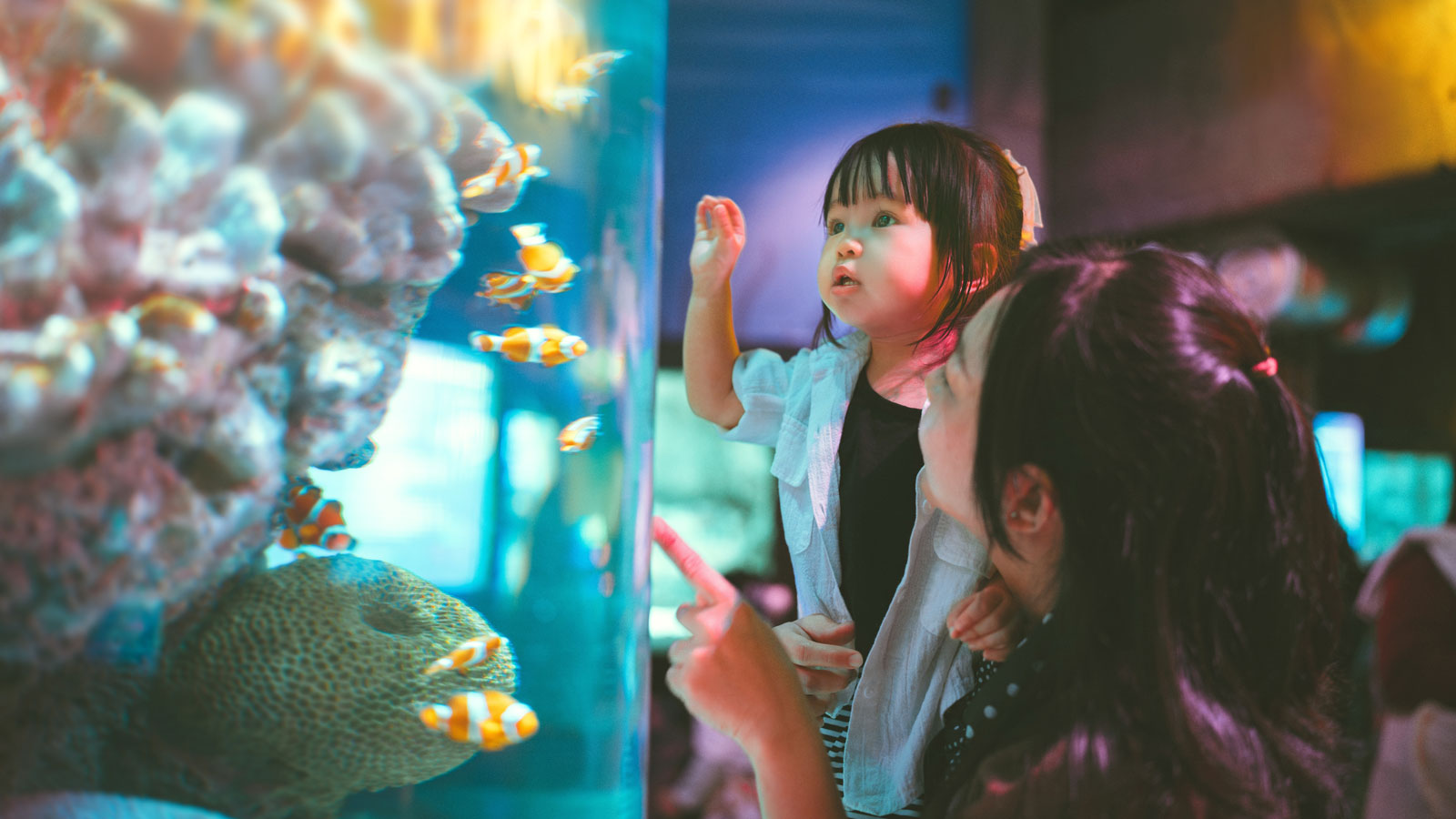A mother showing her daughter the clown fish at the aquarium.