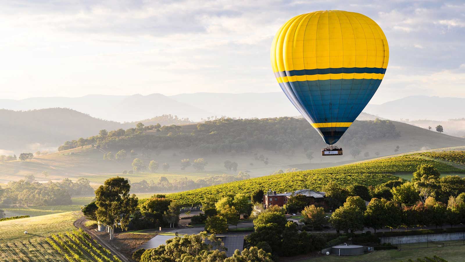 Hot Air Ballooning over the Yarra Valley
