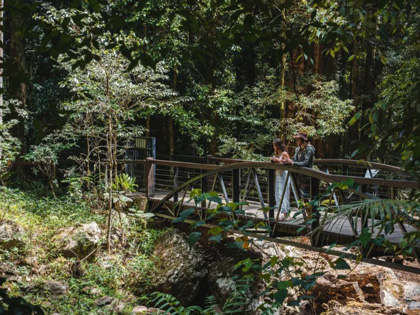 Couple standing on a bridge admiring nature