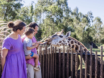 Family feeding a giraffe at Australia Zoo