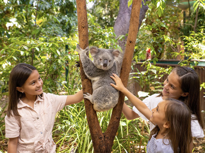 Kids petting a Koala at Currumbin Wildlife Sanctuary