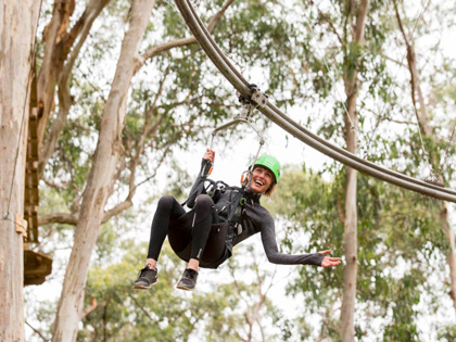 lorne-live-wire-420x315
