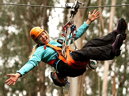 Person using apparatus at Otway Fly Treetop.