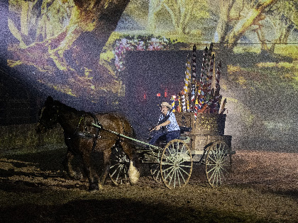 A man in a cart being pulled by a horse in a entertainment show. 
