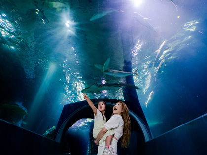 Mother and her daughter at the Melbourne Aquarium