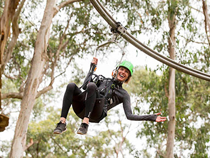 Person on high ropes short circuit at Live Wire Park in Lorne.