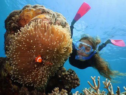 Woman scuba diving and looking at clown fish