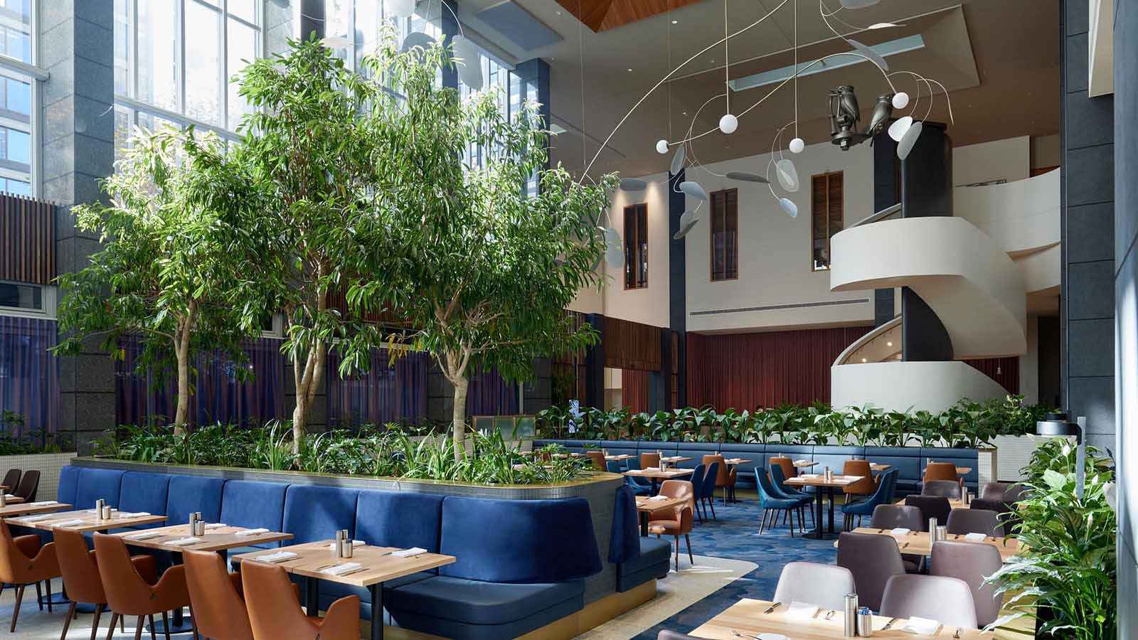 An image of the bistro at RACV City Club, with blue chairs, wooden tables and indoor trees.