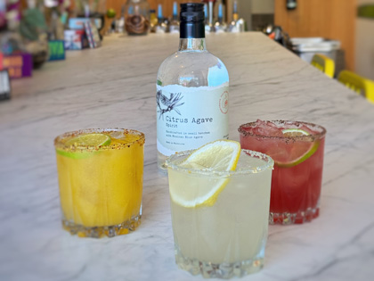 Three colourful cocktails made with agave