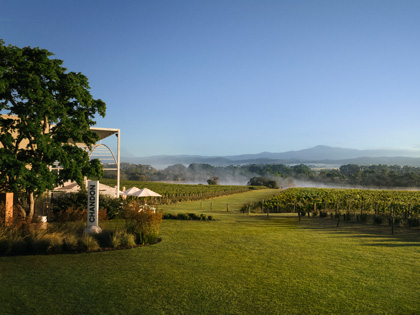 Chandon Winery Estate