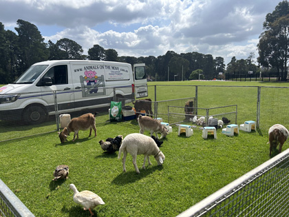 Small petting zoo set up on grass