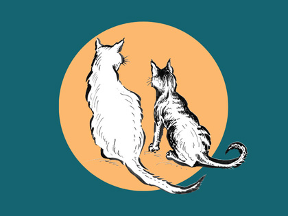 feline-affair-420x315