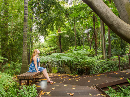 A woman sitting on a bench in a forest