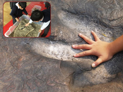A childs hand spread on a rock with a smaller image of kids digging up a fossil. 