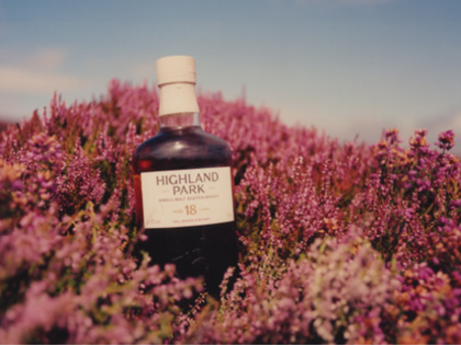 Highland Park bottle nestled in pink flowers. 