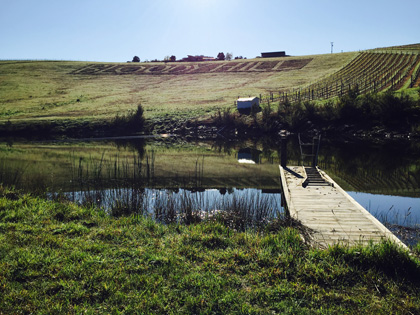 Winery region with a dam.