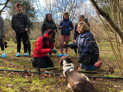 A group of people in a field searching for truffles