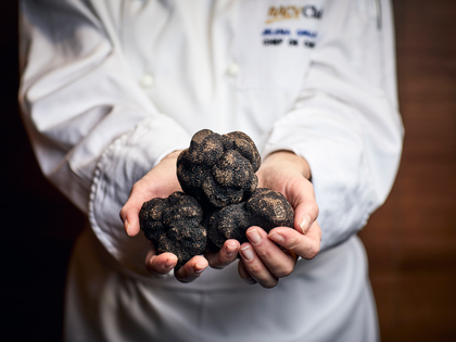 Hand holding truffles