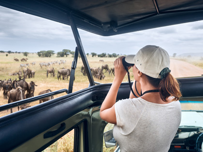 Woman looking through binoculars at some bison in a safari vehicle. 