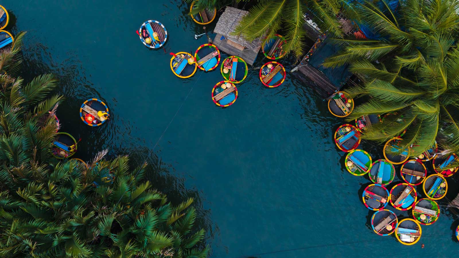 Coconut boats floating on the water with palm trees above