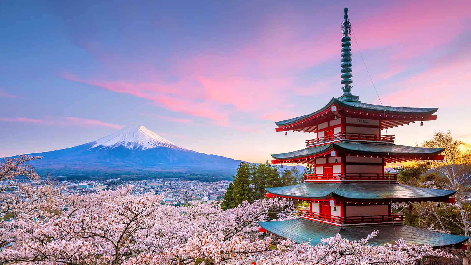 Mountain Fuji and Chureito red pagoda with cherry blossom sakura at sunset