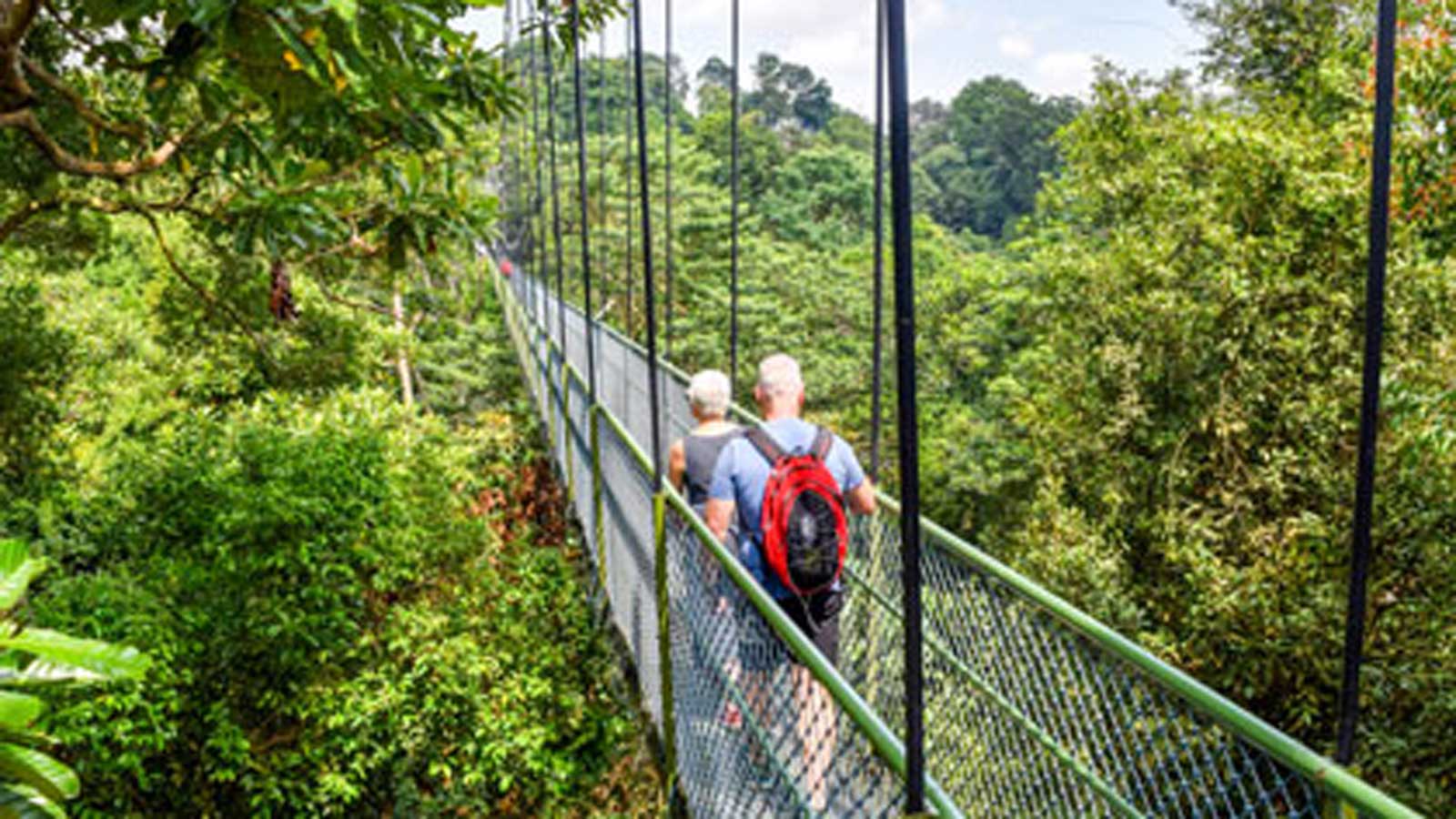 A couple walking on the bridge of the Singapore treetop walk. 